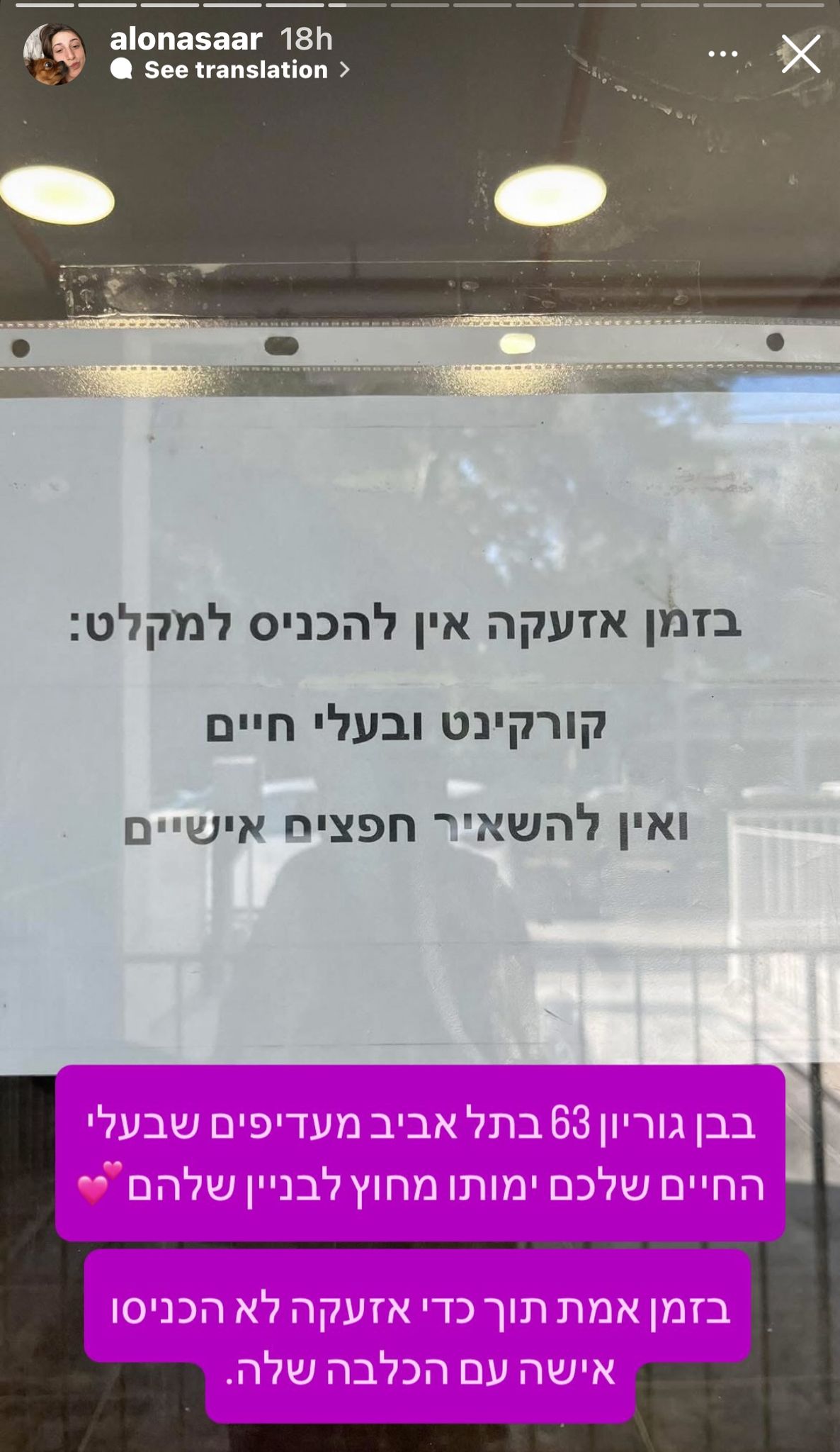 קרדיט: אינסטגרם @alonsaar